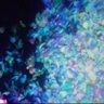 ⭐ほしぞら⭐ 的头像