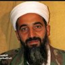 Ruben Ibn Laden's profile picture