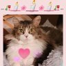 Lucy ❤️ Loves 🇺🇲💕🇵🇷 profil fotoğrafı