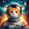 Profilbild von Space Cat