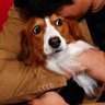 イッセキ・ニチョウスキー profil fotoğrafı