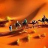 alajmi profil fotoğrafı