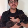 Profilbild von Shoaib Siddiqui