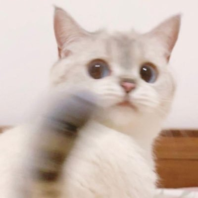 🥤's profile picture