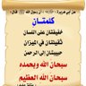 الذَّابُ عن عرض رسول الله ﷺ وأصحابه رضي الله عنهم's profile picture