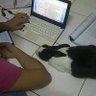 Tuang Muda''s profile picture