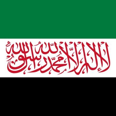 ناصر الدين ابو المعالي بركه خان 🇲🇳 🇸🇴 🇵🇸🏴's profile picture
