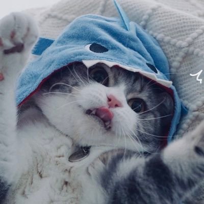 misumi_0n's profile picture