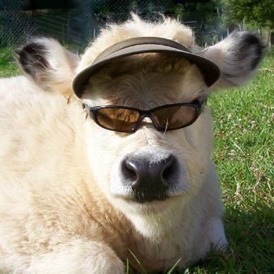 younotmistake's profile picture