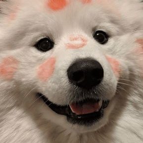 ladyxxin's profile picture