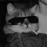 𝙼𝚘𝚑𝚊𝚖𝚖𝚎𝚍's profile picture