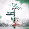 Ali Hmesh's profile picture
