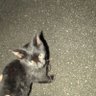 ゆー profil fotoğrafı