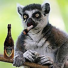 blackmore_r's profile picture