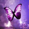 Nagi Hanım's profile picture