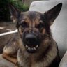 Matt "Ogie" Rempe's profile picture