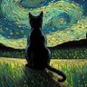Marvelous profil fotoğrafı
