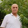 محمد خليل حمي 的头像