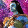 Zhibou's profile picture