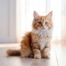 Mızmız mimo profil fotoğrafı