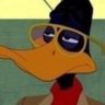 Tracy the Duck 的头像