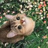zzzbbb profil fotoğrafı
