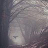_conflict_ ᐰ profil fotoğrafı