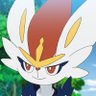 Kallychim's profile picture