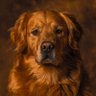 Profilbild von GoldenzRule
