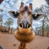 QQ ® profil fotoğrafı