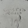 Curtis Reid 的头像