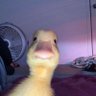 Profilbild von Abrrar Salem
