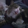 Reficul Tsirhcitna's profile picture