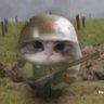 Random's profile picture