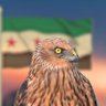 Obedaa Ayyash profil fotoğrafı