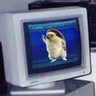 Jacki 𝕏 Sparrow 的头像