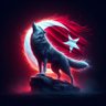Profilbild von 𝘏𝘢𝘴𝘢𝘯 🇹🇷