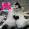 Фото профиля mickey⭐︎心絆☆時金⭐︎kei☆cat HEART(ミッキー)