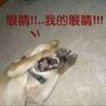 屏東.阿寬's profile picture