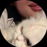 .. profil fotoğrafı