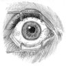Eyes Wide Open's profile picture