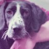 etsuko profil fotoğrafı