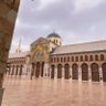 عبدالمحسن ابو عبدالرحمن 的头像