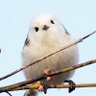 ユーリ profil fotoğrafı