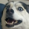 Profilbild von ALRUN