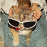 Profilbild von DJ Phnexiy