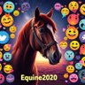 Profilbild von Equine2020
