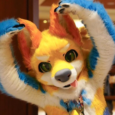 hakutatsu88's profile picture