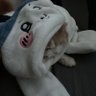 小兔牙's profile picture