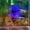 Фото профиля เลาะไปเลื่อย